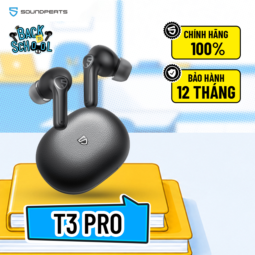 t3-1